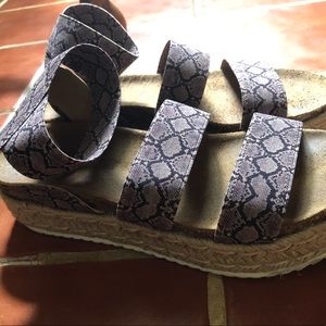 Steve Madden KIMMIE Snake